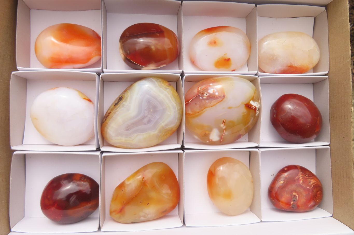 Polished Carnelian Palm Stones x 12 From Madagascar - Toprock Gemstones and Minerals 