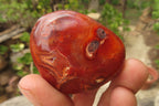 Polished Carnelian Palm Stones x 12 From Madagascar - Toprock Gemstones and Minerals 