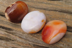 Polished Carnelian Palm Stones x 12 From Madagascar - Toprock Gemstones and Minerals 