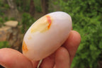 Polished Carnelian Palm Stones x 12 From Madagascar - Toprock Gemstones and Minerals 