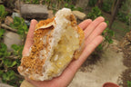Natural Limonite Quartz Specimens x 4 From Zambia - Toprock Gemstones and Minerals 