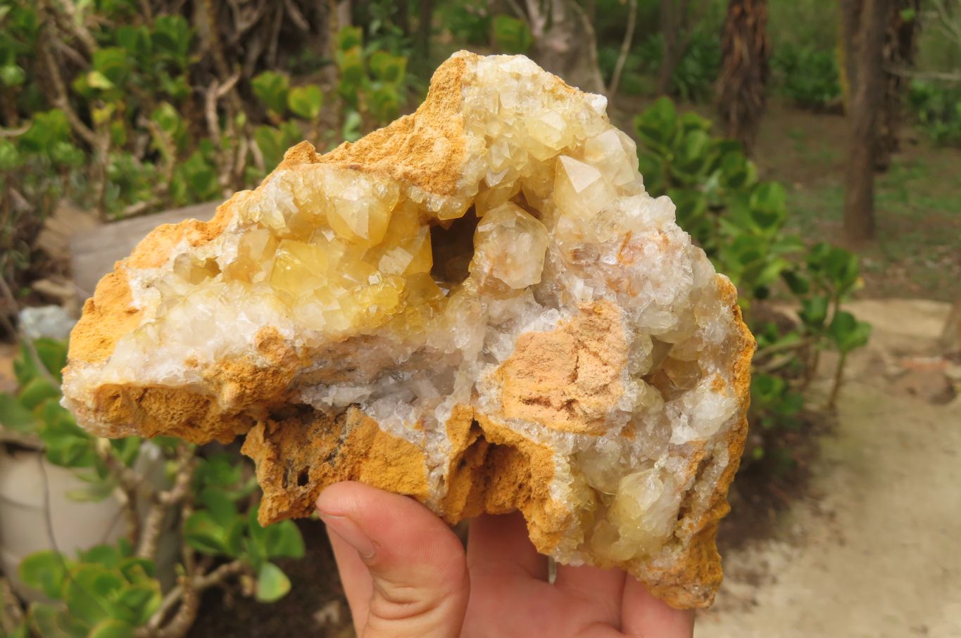 Natural Limonite Quartz Specimens x 4 From Zambia - Toprock Gemstones and Minerals 