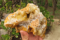 Natural Limonite Quartz Specimens x 4 From Zambia - Toprock Gemstones and Minerals 