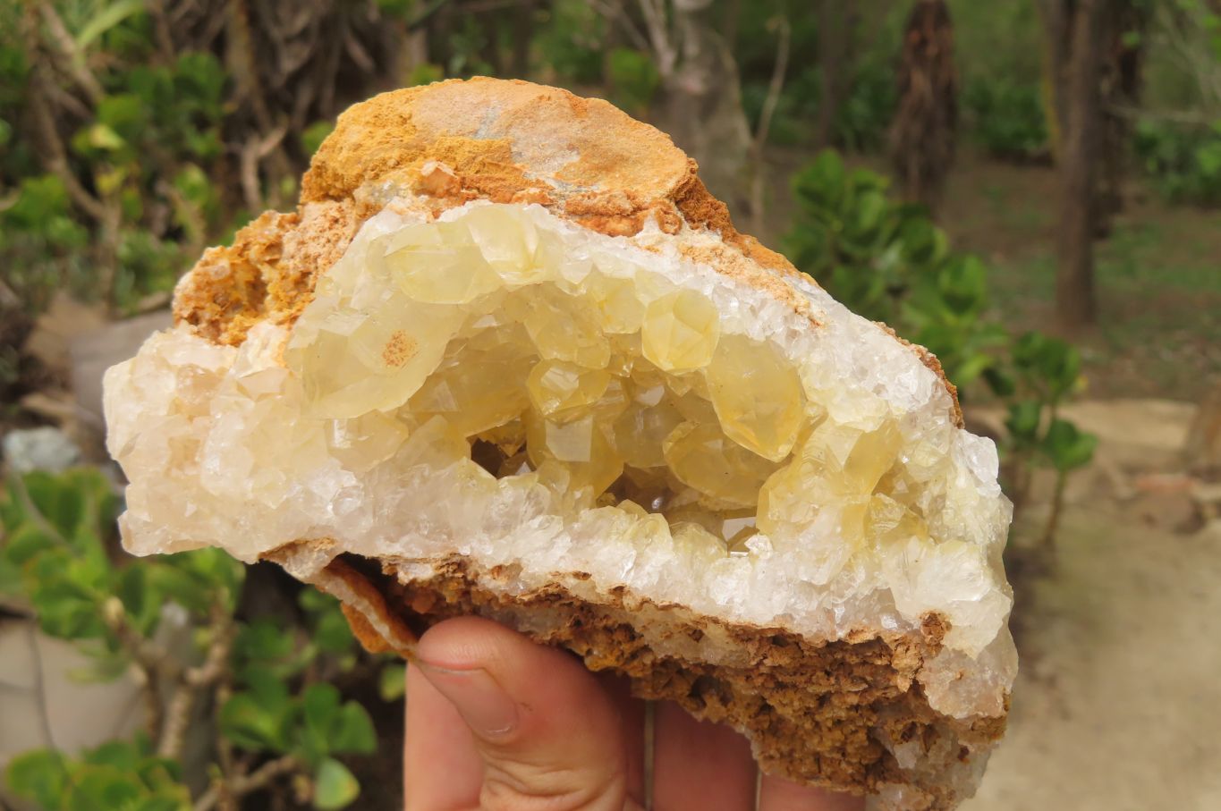 Natural Limonite Quartz Specimens x 4 From Zambia - Toprock Gemstones and Minerals 