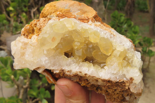 Natural Limonite Quartz Specimens x 4 From Zambia - Toprock Gemstones and Minerals 