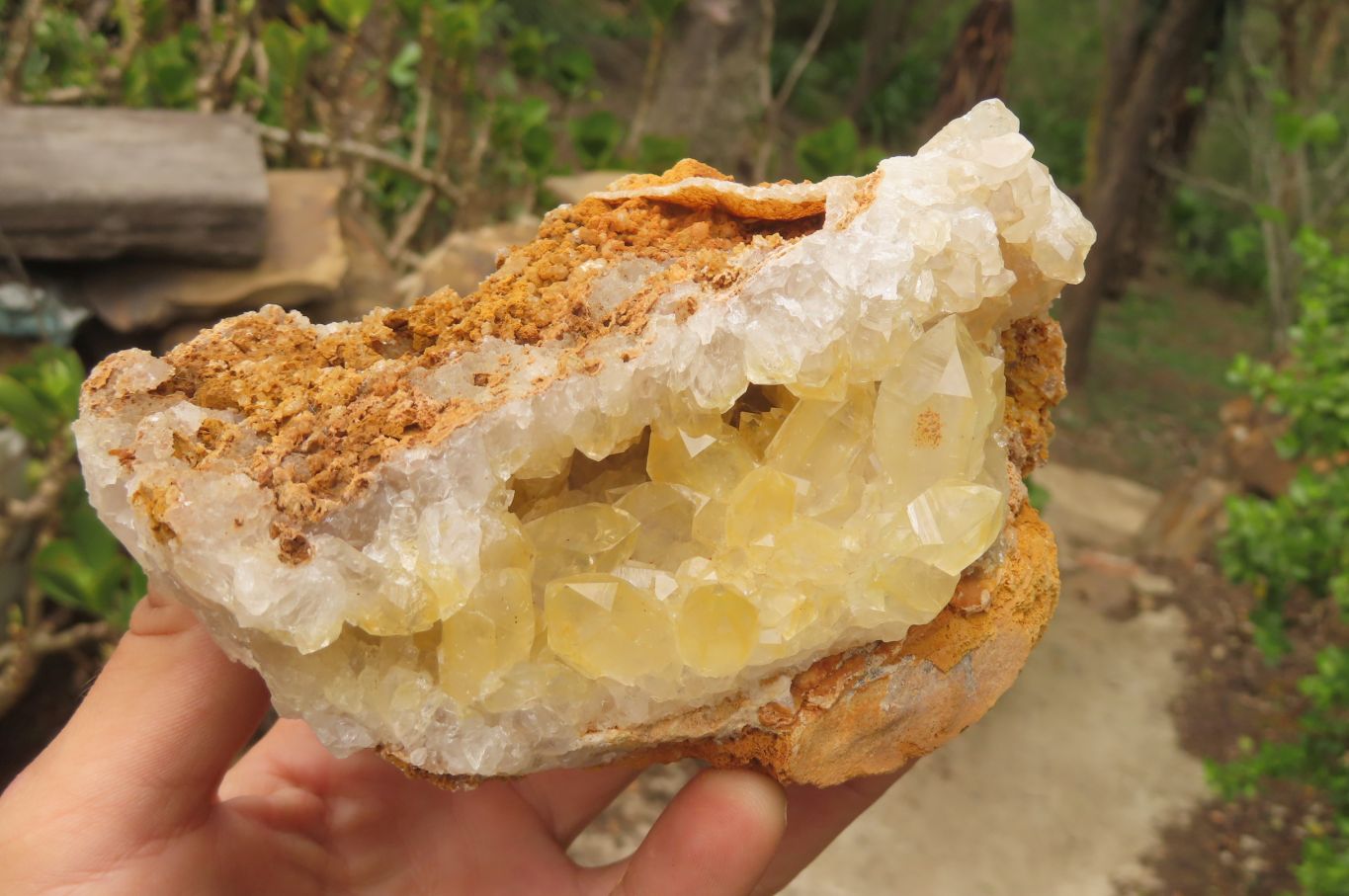 Natural Limonite Quartz Specimens x 4 From Zambia - Toprock Gemstones and Minerals 