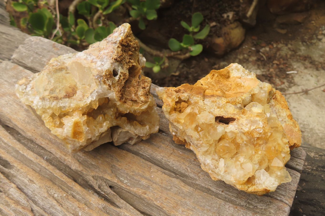 Natural Limonite Quartz Specimens x 4 From Zambia - Toprock Gemstones and Minerals 
