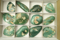 Polished Emerald Mtorolite Galet-Palm Stones x 12 From Mutorashanga, Zimbabwe - Toprock Gemstones and Minerals 