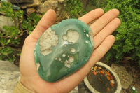 Polished Emerald Mtorolite Galet-Palm Stones x 12 From Mutorashanga, Zimbabwe - Toprock Gemstones and Minerals 