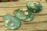 Polished Emerald Mtorolite Galet-Palm Stones x 12 From Mutorashanga, Zimbabwe - Toprock Gemstones and Minerals 