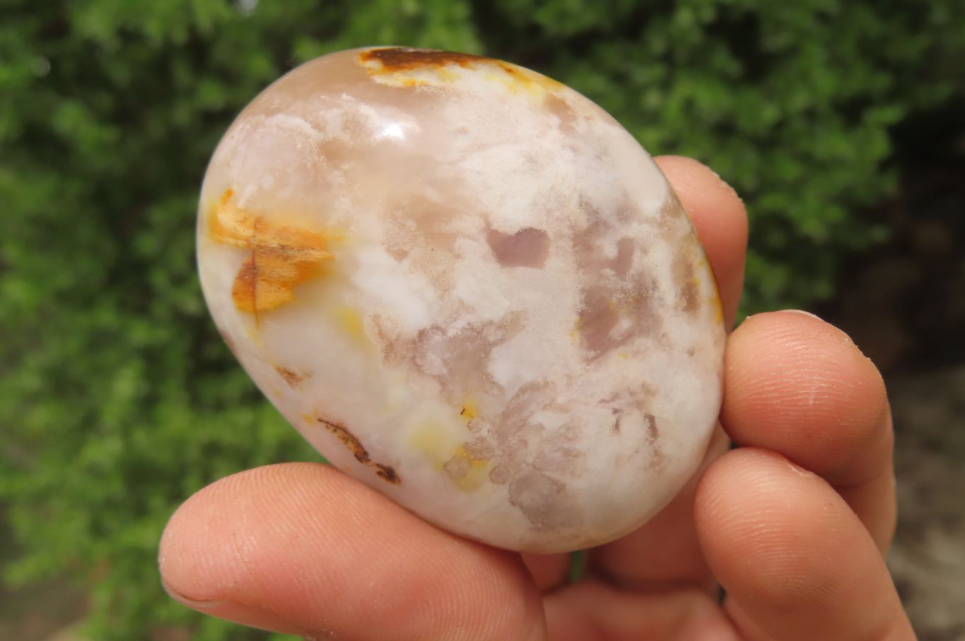 Polished Flower Agate Palm Stones x 12 From Antsahalova, Madagascar - Toprock Gemstones and Minerals 