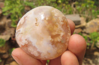 Polished Flower Agate Palm Stones x 12 From Antsahalova, Madagascar - Toprock Gemstones and Minerals 