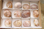 Polished Flower Agate Palm Stones x 12 From Antsahalova, Madagascar - Toprock Gemstones and Minerals 