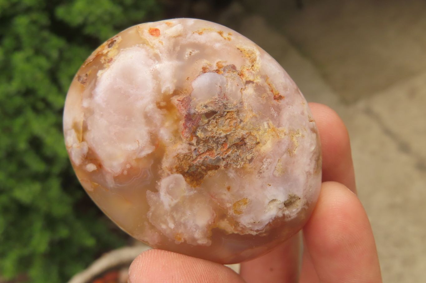 Polished Flower Agate Palm Stones x 12 From Antsahalova, Madagascar - Toprock Gemstones and Minerals 