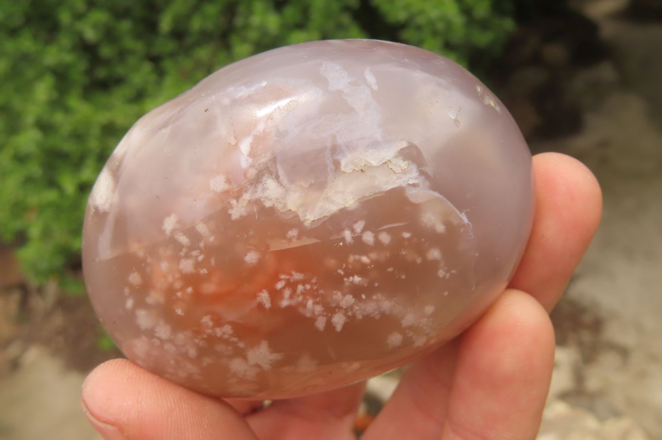 Polished Flower Agate Palm Stones x 12 From Antsahalova, Madagascar - Toprock Gemstones and Minerals 