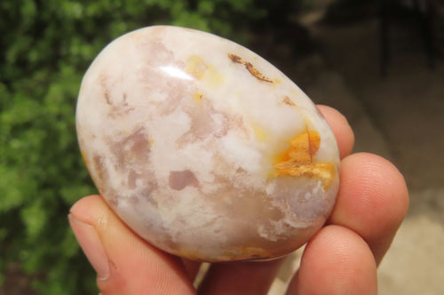 Polished Flower Agate Palm Stones x 12 From Antsahalova, Madagascar - Toprock Gemstones and Minerals 