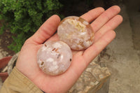 Polished Flower Agate Palm Stones x 12 From Antsahalova, Madagascar - Toprock Gemstones and Minerals 