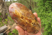 Polished Red Podocarpus Petrified Wood Standing Free Forms x 4 From Madagascar - Toprock Gemstones and Minerals 