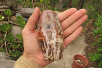 Polished Red Podocarpus Petrified Wood Standing Free Forms x 4 From Madagascar - Toprock Gemstones and Minerals 