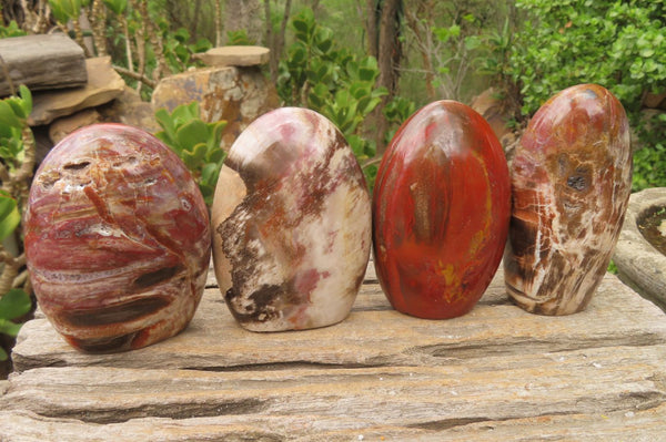 Polished Red Podocarpus Petrified Wood Standing Free Forms x 4 From Madagascar - Toprock Gemstones and Minerals 