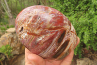 Polished Red Podocarpus Petrified Wood Standing Free Forms x 4 From Madagascar - Toprock Gemstones and Minerals 
