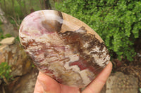 Polished Red Podocarpus Petrified Wood Standing Free Forms x 4 From Madagascar - Toprock Gemstones and Minerals 