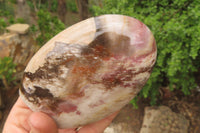 Polished Red Podocarpus Petrified Wood Standing Free Forms x 4 From Madagascar - Toprock Gemstones and Minerals 