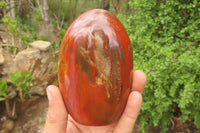 Polished Red Podocarpus Petrified Wood Standing Free Forms x 4 From Madagascar - Toprock Gemstones and Minerals 