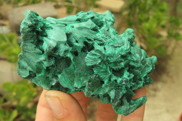 Natural Silky Malachite Specimens x 6 From Kasompe, Congo - Toprock Gemstones and Minerals 