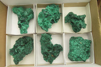 Natural Silky Malachite Specimens x 6 From Kasompe, Congo - Toprock Gemstones and Minerals 