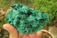 Natural Silky Malachite Specimens x 6 From Kasompe, Congo - Toprock Gemstones and Minerals 