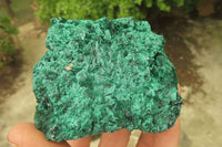 Natural Silky Malachite Specimens x 6 From Kasompe, Congo - Toprock Gemstones and Minerals 
