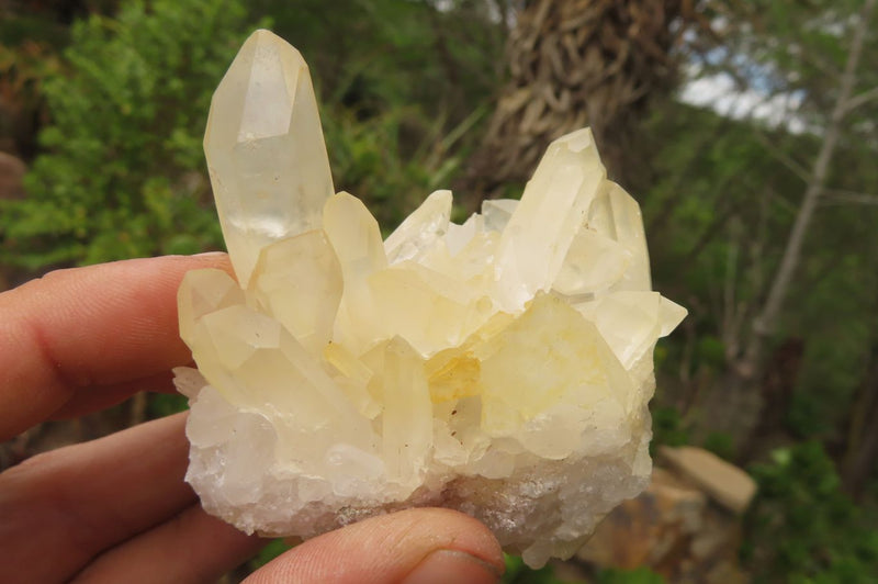 Natural Clear Quartz Clusters x 28 From Madagascar - Toprock Gemstones and Minerals 