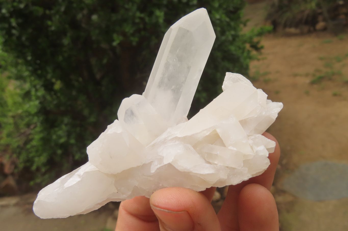 Natural Clear Quartz Clusters x 28 From Madagascar - Toprock Gemstones and Minerals 