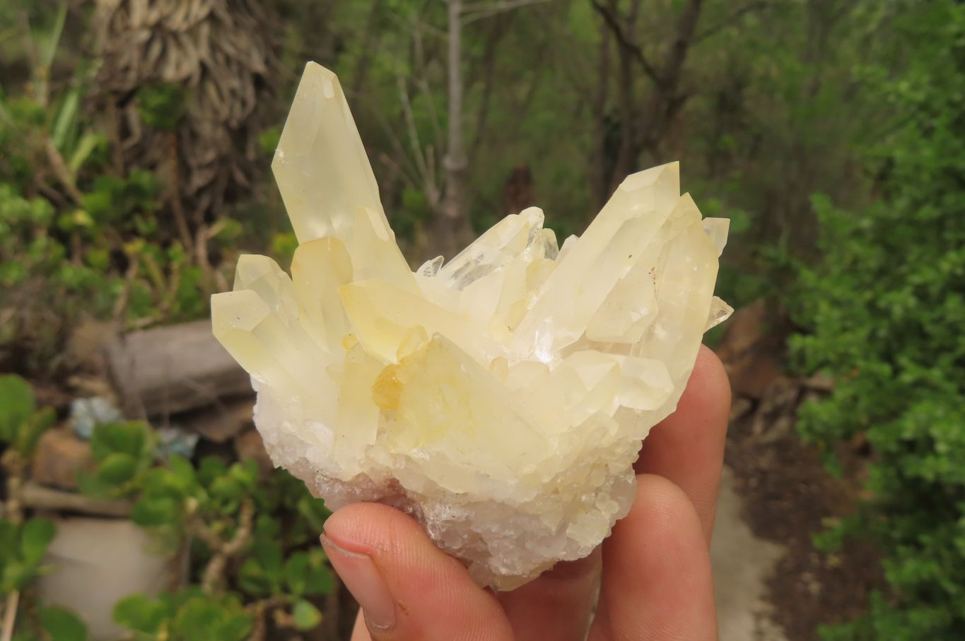 Natural Clear Quartz Clusters x 28 From Madagascar - Toprock Gemstones and Minerals 
