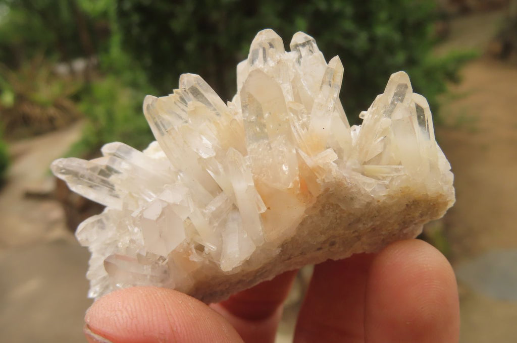 Natural Clear Quartz Clusters x 28 From Madagascar - Toprock Gemstones and Minerals 