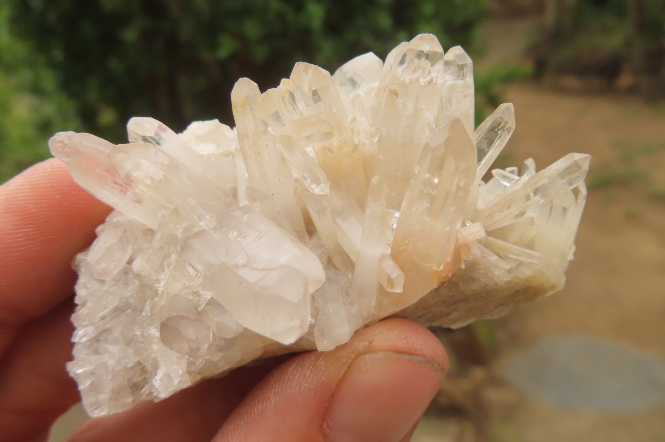 Natural Clear Quartz Clusters x 28 From Madagascar - Toprock Gemstones and Minerals 