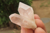 Natural Clear Quartz Clusters x 28 From Madagascar - Toprock Gemstones and Minerals 