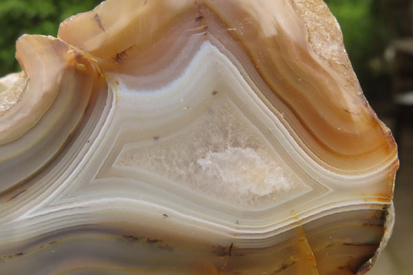 Polished On One Side Red Sashe River Agate Nodules x 3 From Zimbabwe - Toprock Gemstones and Minerals 