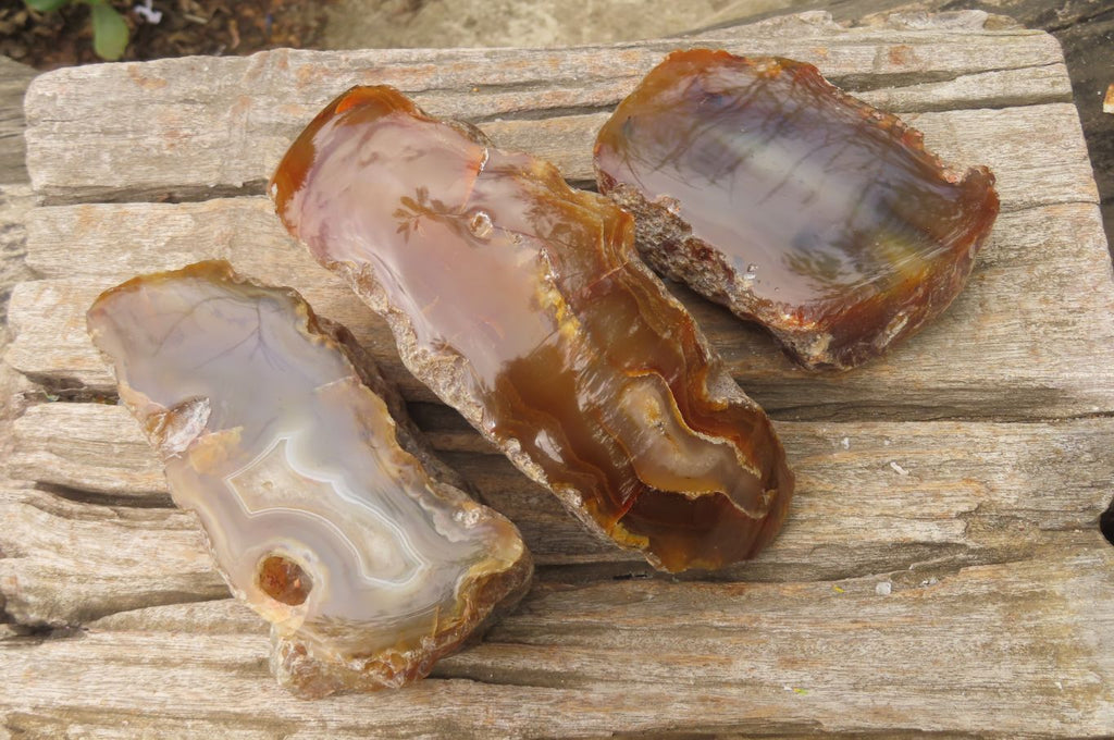 Polished On One Side Red Sashe River Agate Nodules x 3 From Zimbabwe - Toprock Gemstones and Minerals 