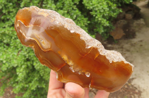 Polished On One Side Red Sashe River Agate Nodules x 3 From Zimbabwe - Toprock Gemstones and Minerals 