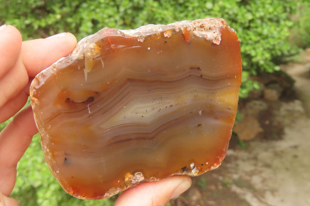 Polished On One Side Red Sashe River Agate Nodules x 3 From Zimbabwe - Toprock Gemstones and Minerals 