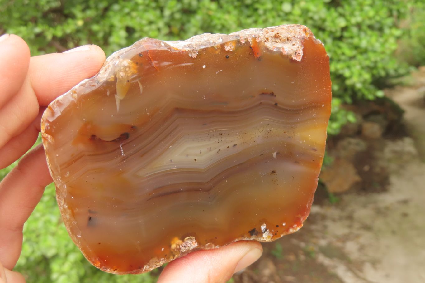 Polished On One Side Red Sashe River Agate Nodules x 3 From Zimbabwe - Toprock Gemstones and Minerals 