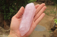 Polished Double Terminated Rose Quartz Points x 4 From Madagascar - Toprock Gemstones and Minerals 