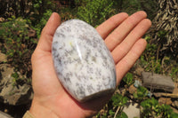 Polished Dendritic Opal Standing Free Forms x 3 From Moralambo, Madagascar - Toprock Gemstones and Minerals 