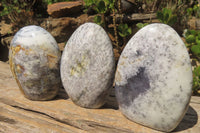 Polished Dendritic Opal Standing Free Forms x 3 From Moralambo, Madagascar - Toprock Gemstones and Minerals 