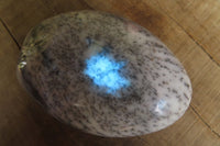 Polished Dendritic Opal Standing Free Forms x 3 From Moralambo, Madagascar - Toprock Gemstones and Minerals 