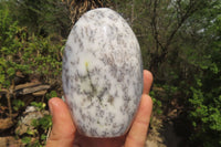 Polished Dendritic Opal Standing Free Forms x 3 From Moralambo, Madagascar - Toprock Gemstones and Minerals 
