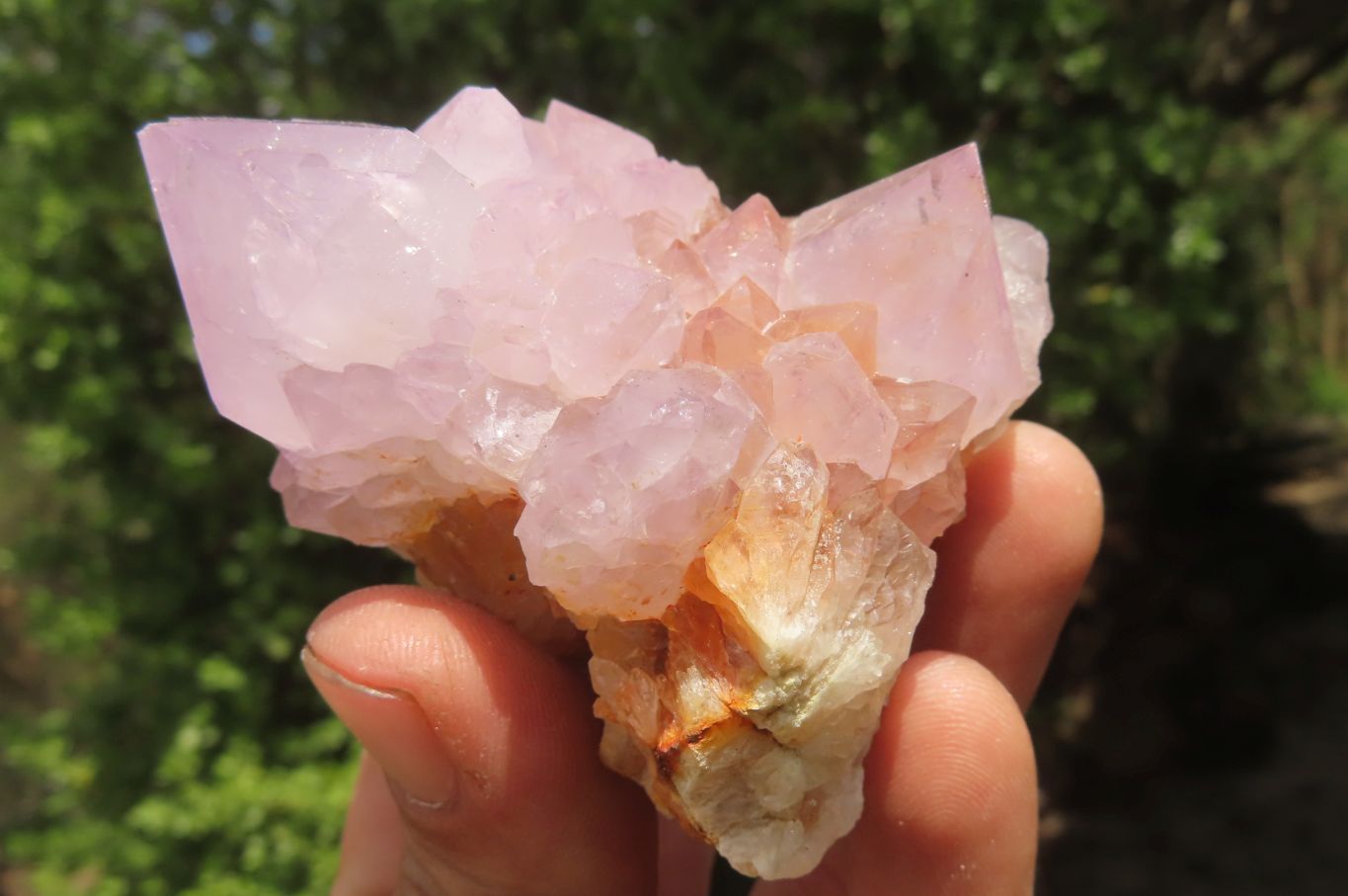 Natural Ametrine Spirit Quartz Clusters x 6 From Boekenhouthoek, South Africa - Toprock Gemstones and Minerals 