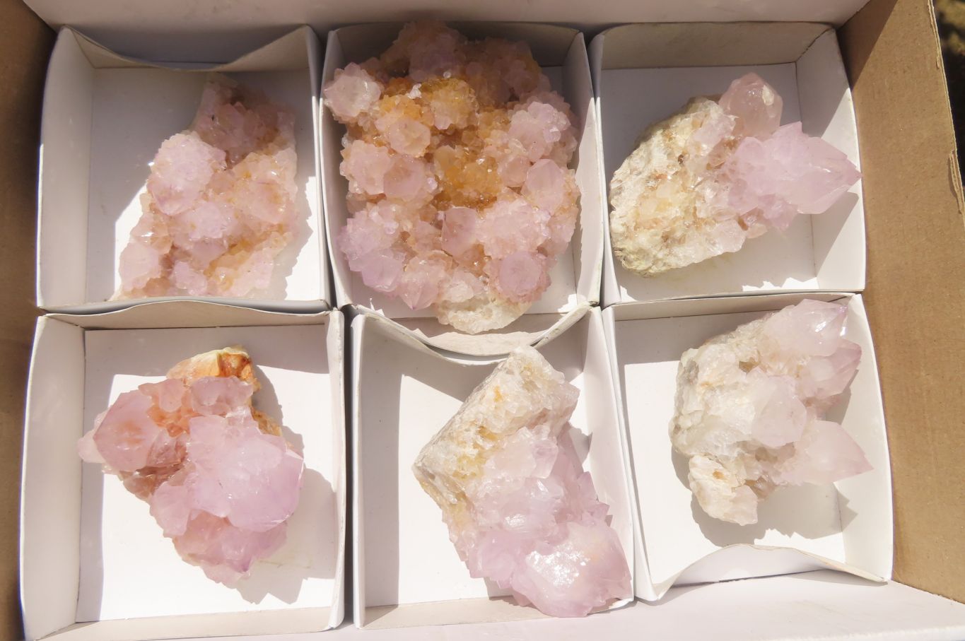 Natural Ametrine Spirit Quartz Clusters x 6 From Boekenhouthoek, South Africa - Toprock Gemstones and Minerals 